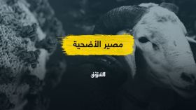 في ظل تصاعد الجدل بشأنها.. ما هو مصير شعيرة أضحية العيد في زمن كورونا؟