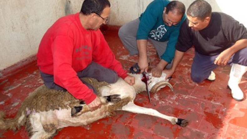 عاداتٌ جميلة تغيب عن بيوت الجزائريين في الأضحى