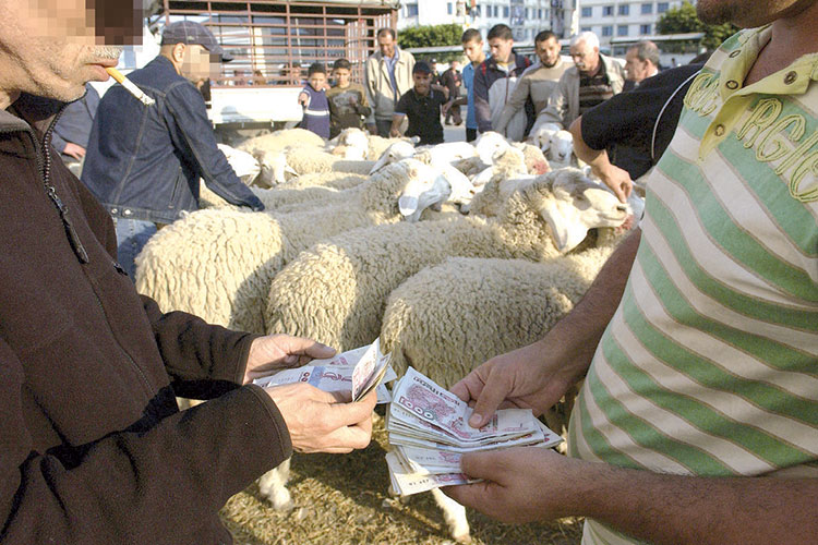 Trafficking cells import forged banknotes from China, India to dump the Algerian cattle markets
