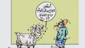 Attention:des substances d’engraissement de moutons provoquent l’infertilité!