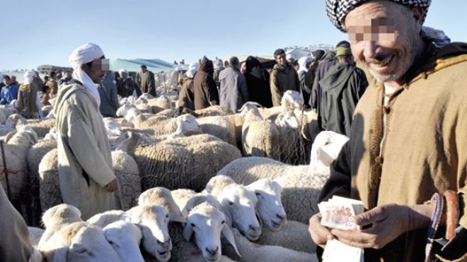 انتشار ظاهرة بيع الأضاحي بالميزان والأئمة يشجعون