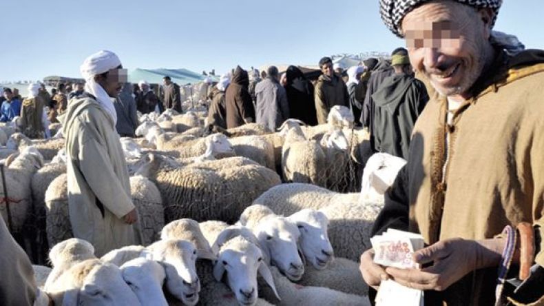 انتشار ظاهرة بيع الأضاحي بالميزان والأئمة يشجعون