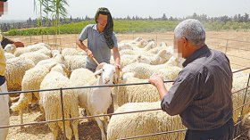 الشّعب ضدّ الشّعب؟!