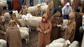 قانون الفوترة مرفوض وتطبيقه على الماشية يُحدث خللا في السوق