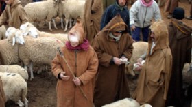 احذروا ….أوراق نقدية مزورة في أسواق الماشية