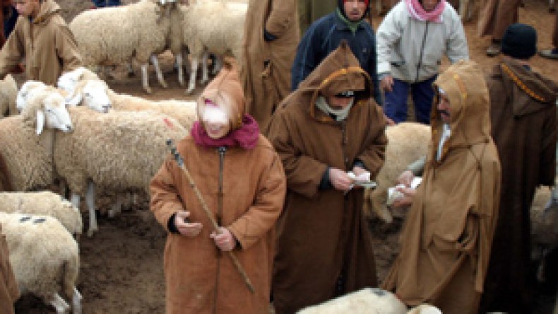 احذروا ….أوراق نقدية مزورة في أسواق الماشية