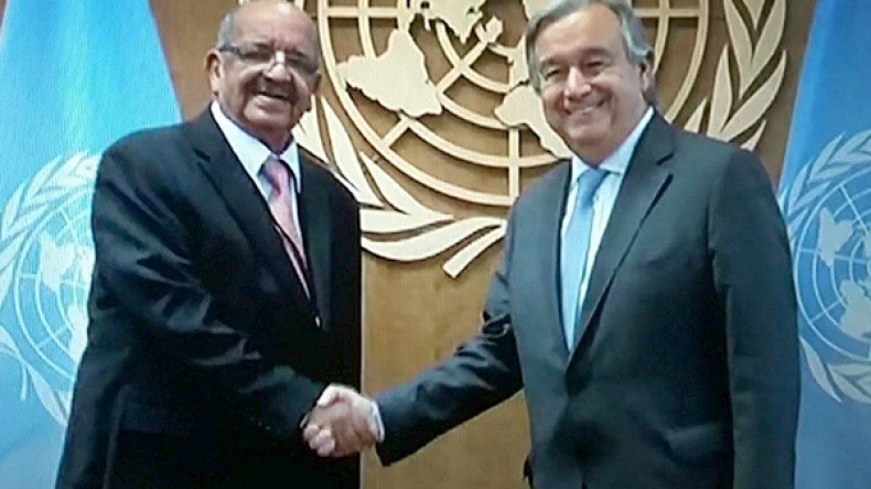 مساهل: لا حلّ في الصحراء الغربية سوى تقرير المصير