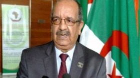 عرض مشروع مرسوم تنفيذي حول بطاقة الصحفي على الحكومة في جانفي المقبل