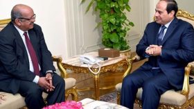 مساهل يسلم السيسي رسالة شفوية من بوتفليقة