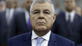 الجزائر ستصدر الكهرباء لدول عربية وإفريقية