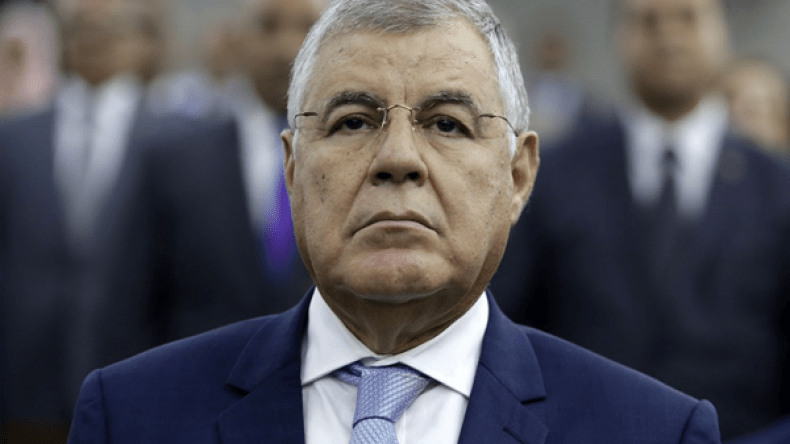 الجزائر ستصدر الكهرباء لدول عربية وإفريقية