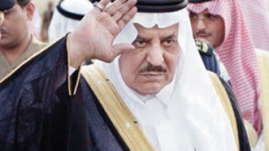 Saudi interior minister and Gulf Princes visit Algeria