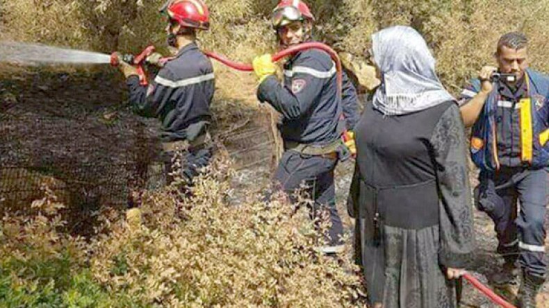 نعيمة صالحي تطفئ الحرائق على الفيسيوك!