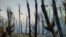 حريق مهول يلتهم ألف نخلة بقرية الساهلة بعين صالح