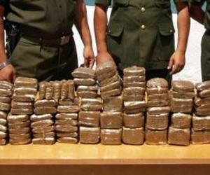 Gendarmerie Seize 31 Quintals Destined to Europe Via Tunisia and Libya