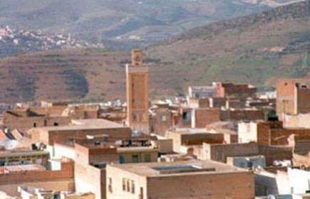 Séminaire international sur Nedroma