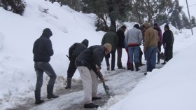فلاحون على حافة الإفلاس بسبب العاصفة الثلجية