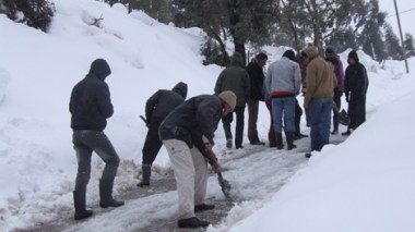 Les Fellahs au bord de la faillite par le froid