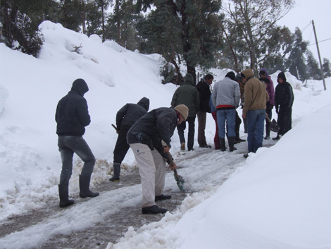 Les Fellahs au bord de la faillite par le froid