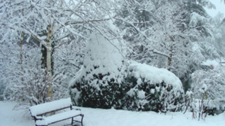 أمطار غزيرة في الوسط والشرق وثلوج بغرب البلاد