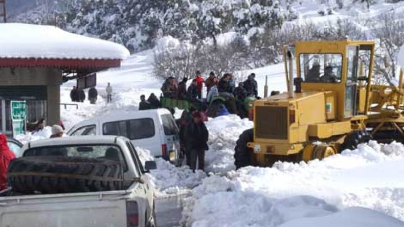 تعويض الفلاحين غير المؤمنين المتضررين في العاصفة الثلجية