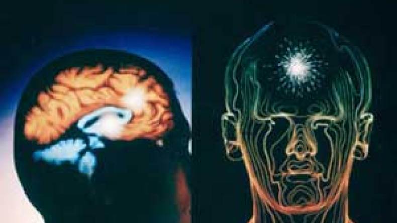 دراسـة : شـكـل الـمـخ وراء غـضـب المراهقين