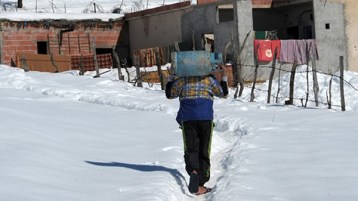 آمنوا بالله ثمّ موتوا بردا!