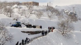 منكوبون يقطعون الطريق وآخرون يقتاتون على الأرانب