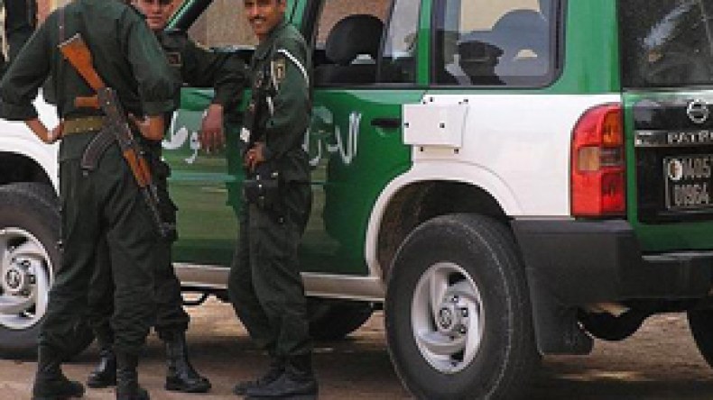 الدرك يحبط عملية تهريب 65 شجرة أرز الى تونس ويعتقل 05 مطلوبين