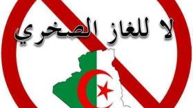 يا رئيس الجمهورية.. أوقف قرار استخراج الغاز الصخري
