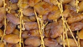 200 ألف عائلة في صحراء الجزائر تعيش بالتمور ورعاية 19 مليون نخلة