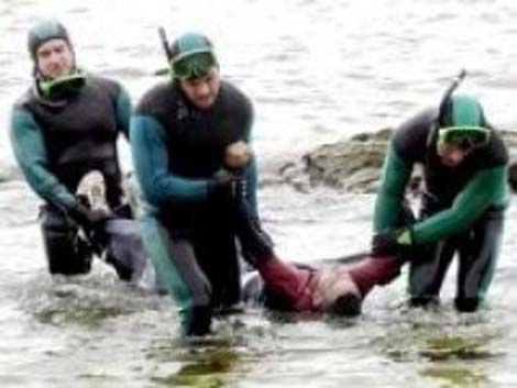 26 décès par noyade sur les plages du centre du pays
