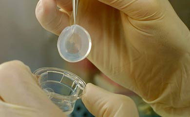 Démantèlement d’un réseau de trafic de cornées des États-Unis vers l’Algérie