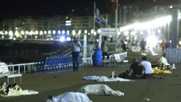 الذئب حرام؟ الترك أحسن!