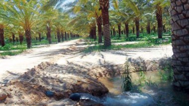 Nouveau programme pour développer l’agriculture dans le Sud