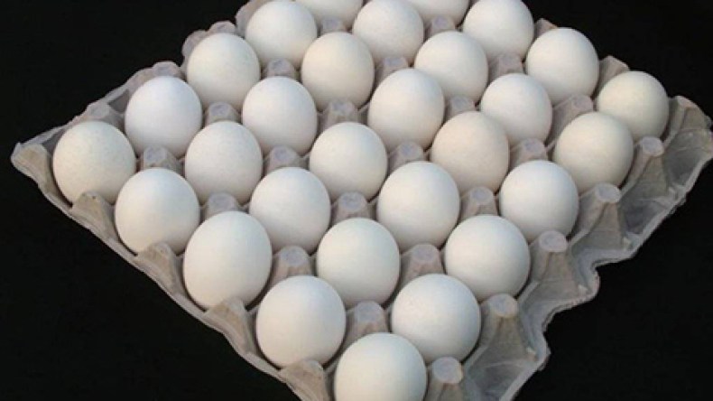 مختصون يتوقعون انخفاضا في سعر البيض خلال رمضان