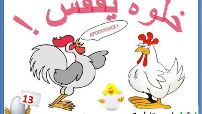 جمعيات المستهلكين تطلق حملة لمقاطعة استهلاك البيض