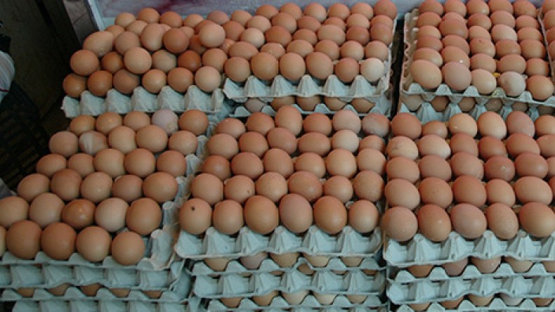 فيروس”لامراك” وراء ارتفاع أسعار البيض