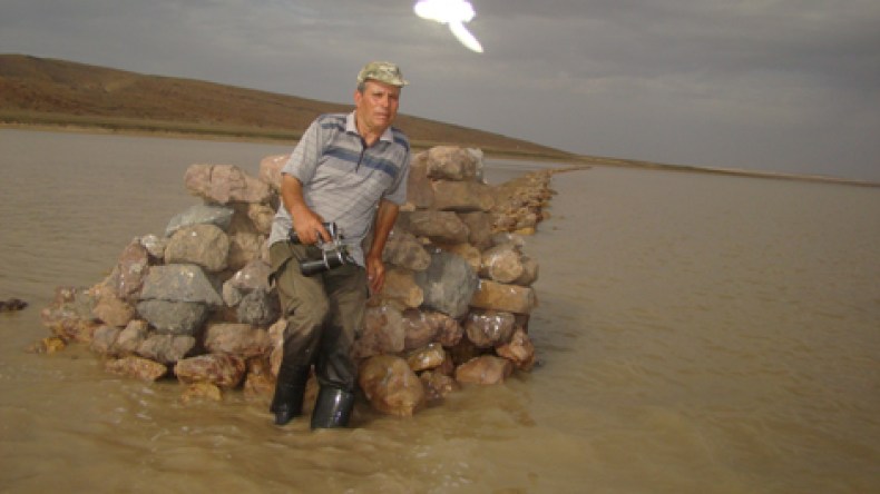 طائر “ضوئي” غريب يظهر ويختفي بسرعة البرق بسماء أم البواقي