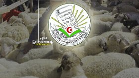 جمعية العلماء تنفي إصدار فتوى حول إلغاء الأضحية
