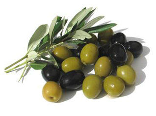 Toxic olives imported to Algeria from Israel
