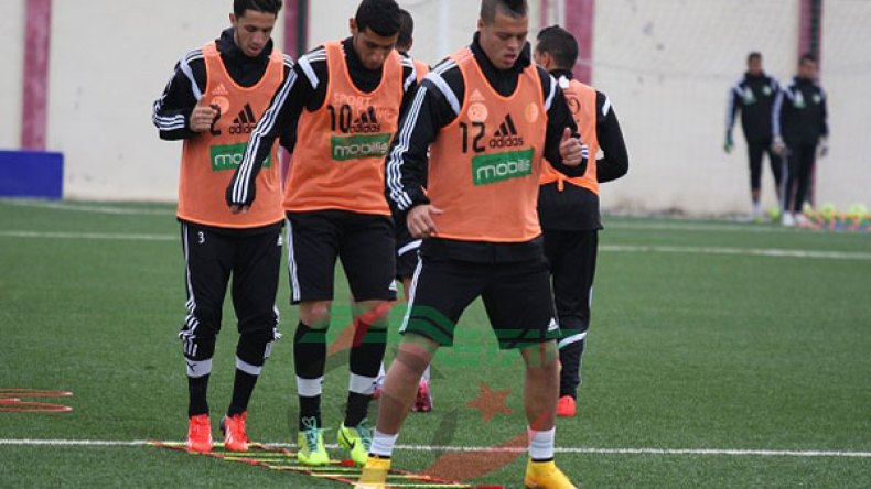 الفاف تبحث عن مدرب أجنبي لتأطير “أكاديمية الفاف 2”
