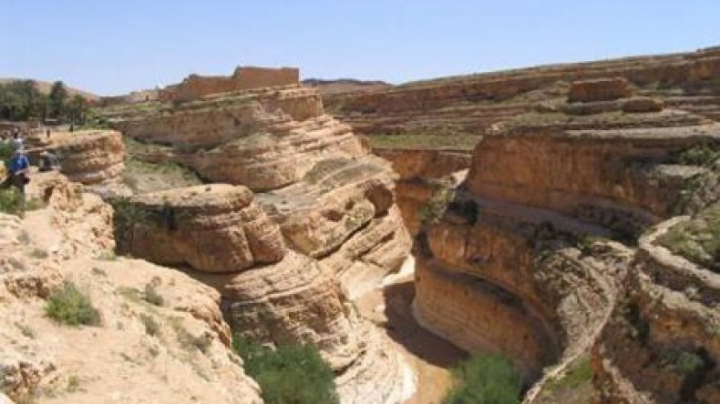 عائلات تونسية معوزة تفرّ إلى الحدود الجزائرية