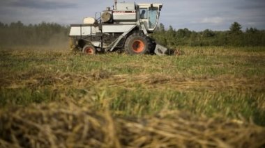 Les 7 cas pouvant annuler le droit de concession des terres agricoles