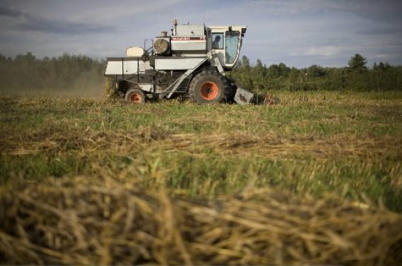 Les 7 cas pouvant annuler le droit de concession des terres agricoles