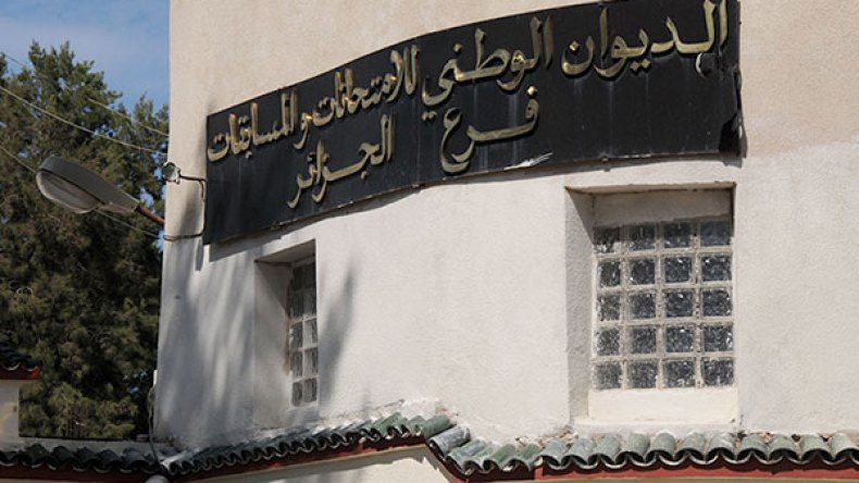 حاميها.. حراميها..!