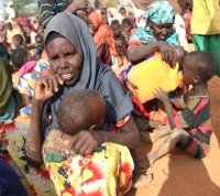 L’Onu appelle la communauté internationale à faire plus pour les réfugiés somaliens