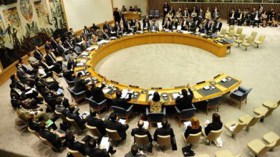 UN Security Council to Hold Emergency Meeting on Mali