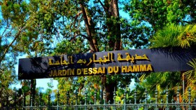 نفوق شبلين في حديقة الحامة بعد شهرين من استرجاعهما