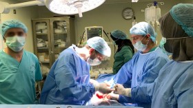 7 آلاف جزائري مهدّدون بالموت بسبب غياب التبرع بالكلى